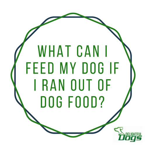 ranoutofdogfood Delightful Dogs